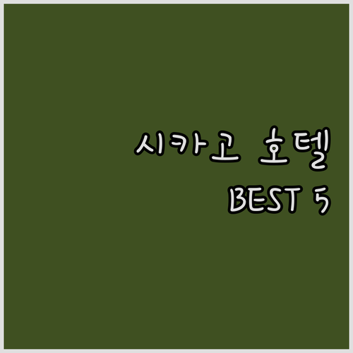 시카고 여행객 필독 추천 호텔 BES..