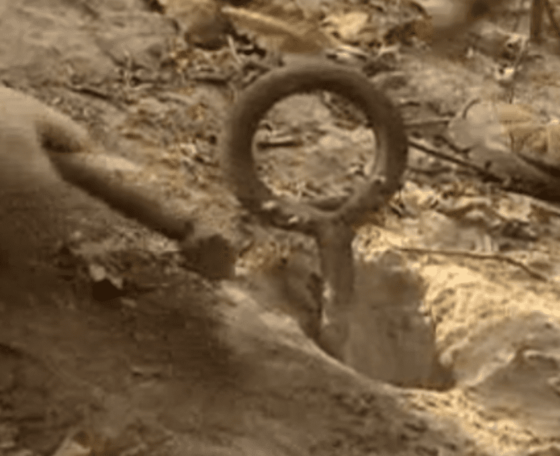 영화 파묘 해석 후기 결말 스포 포함