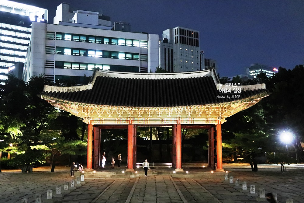 덕수궁 야간개장 방문후기 야간 덕수궁 야간투어 궁궐야행