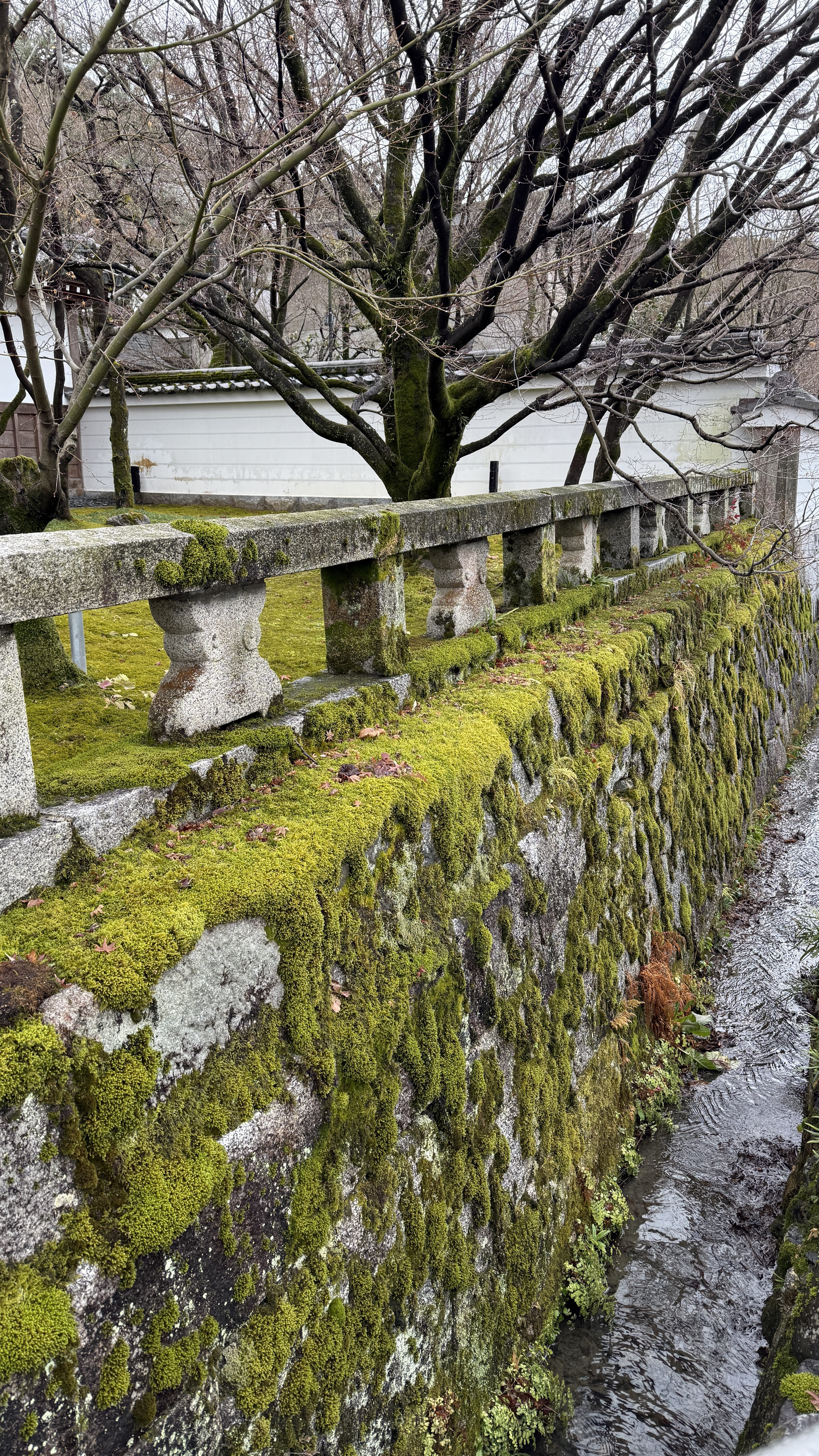교토-꼭-가봐야-할-곳-교토-은각사-긴카쿠지- 철학의-길-조용한-산책-코스-추천
