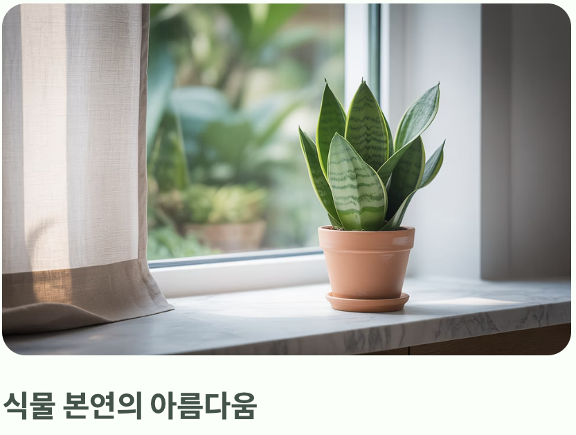 자연을 닮은 아름다움