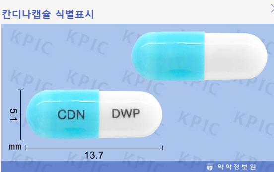 칸디나캡슐