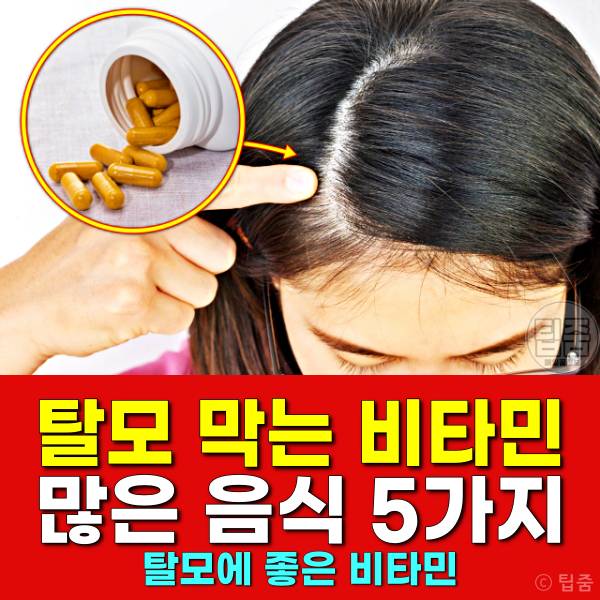 탈모 비타민 음식 탈모에좋은비타민