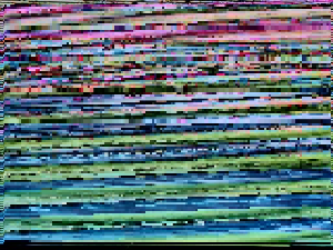 소음 피해에 대한 민원제기 및 구제방법