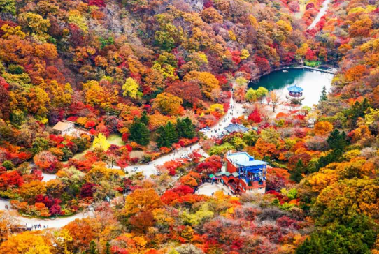 40년 넘는 역사! 내장산 케이블카는 특별해요