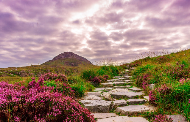 가을 꽃구경하기 좋은 곳 추천 정리
