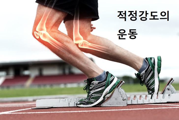 적정강도의-운동