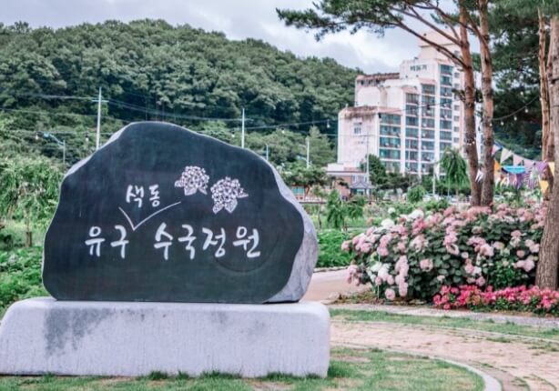 공주 유구 색동수국정원 꽃축제