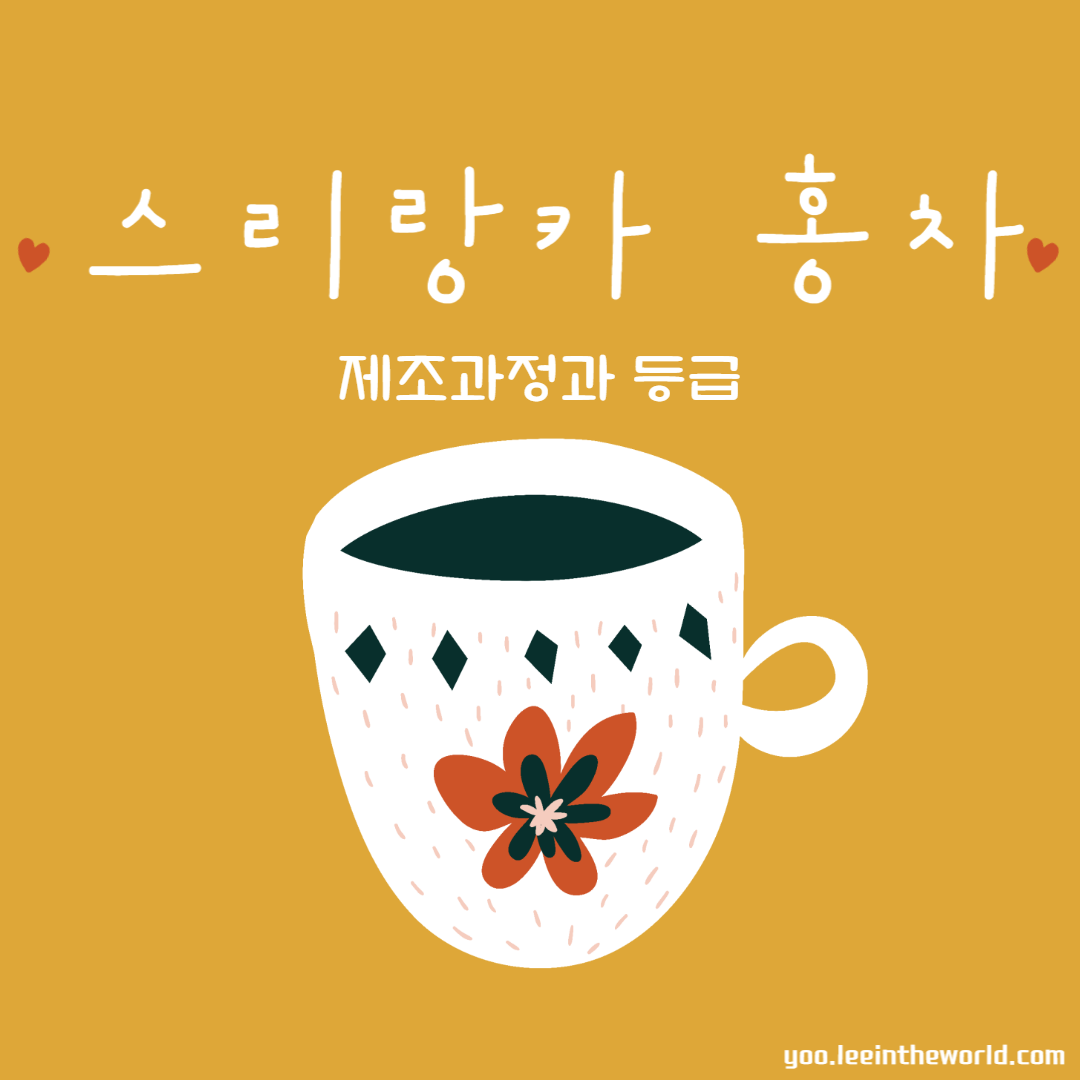 스리랑카홍차