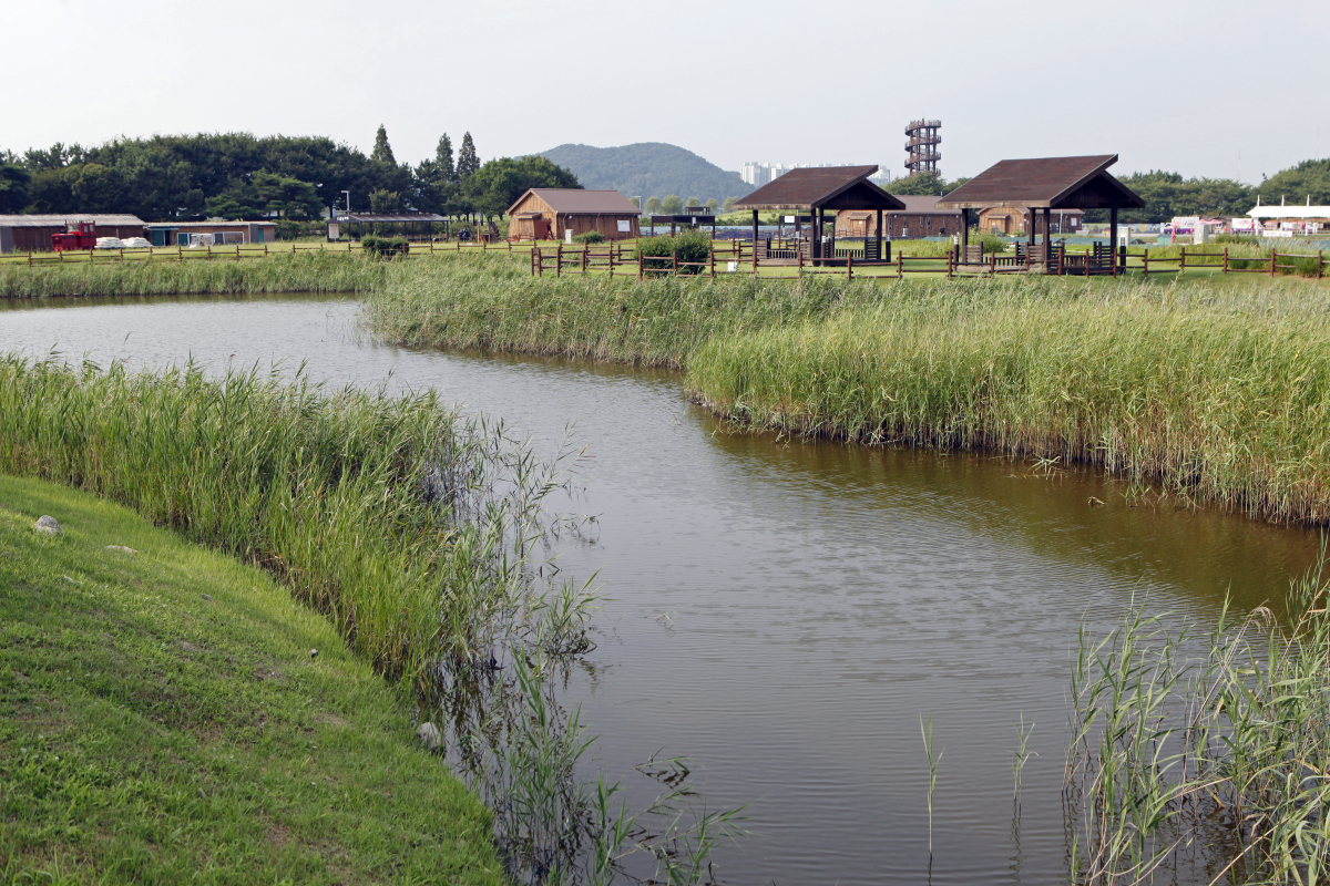 경기도 해돋이 일출 명소 TOP5