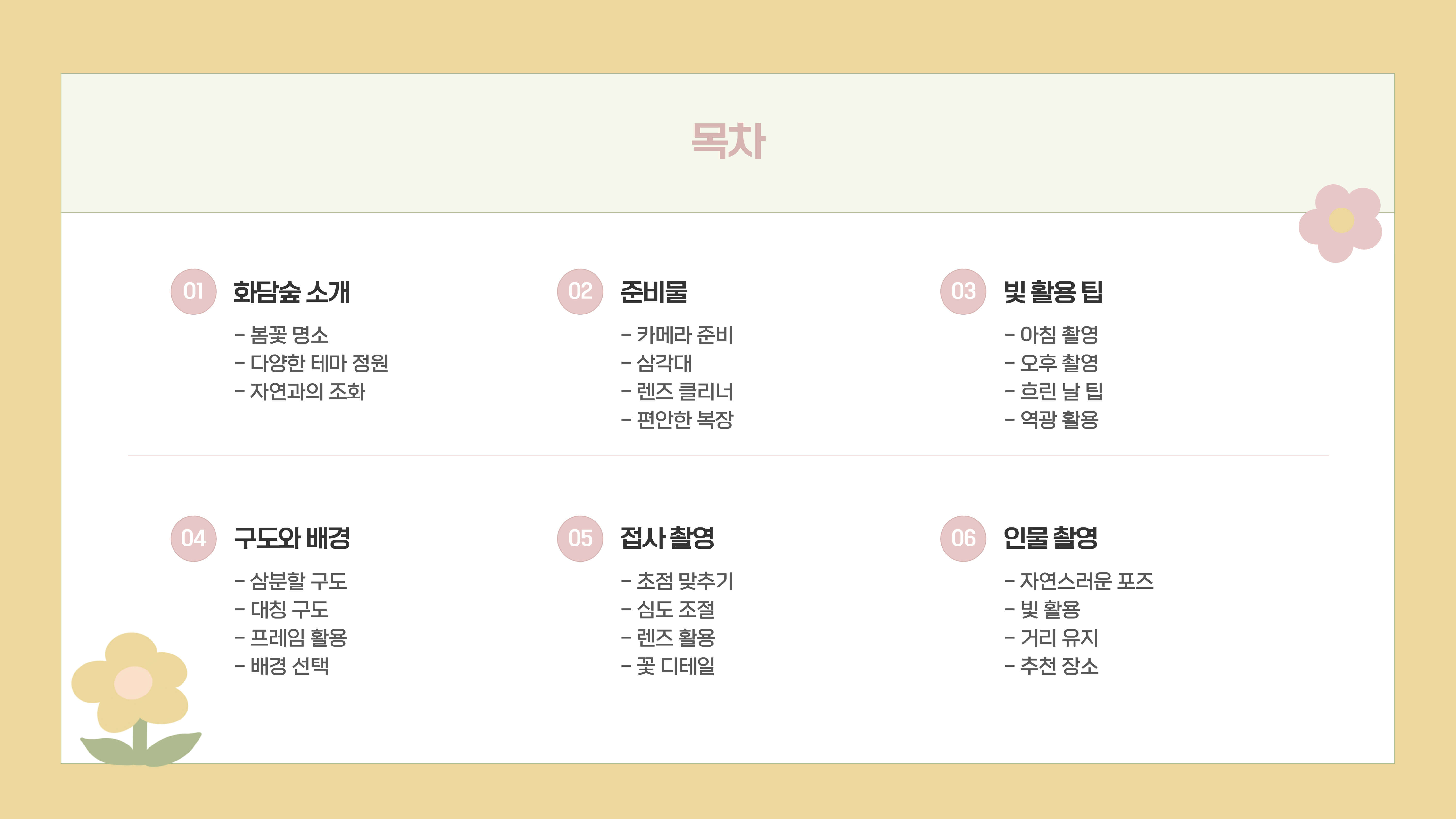 화담숲 봄꽃 사진 촬영 팁