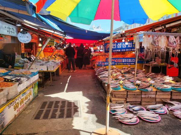 자갈치해안시장-생선