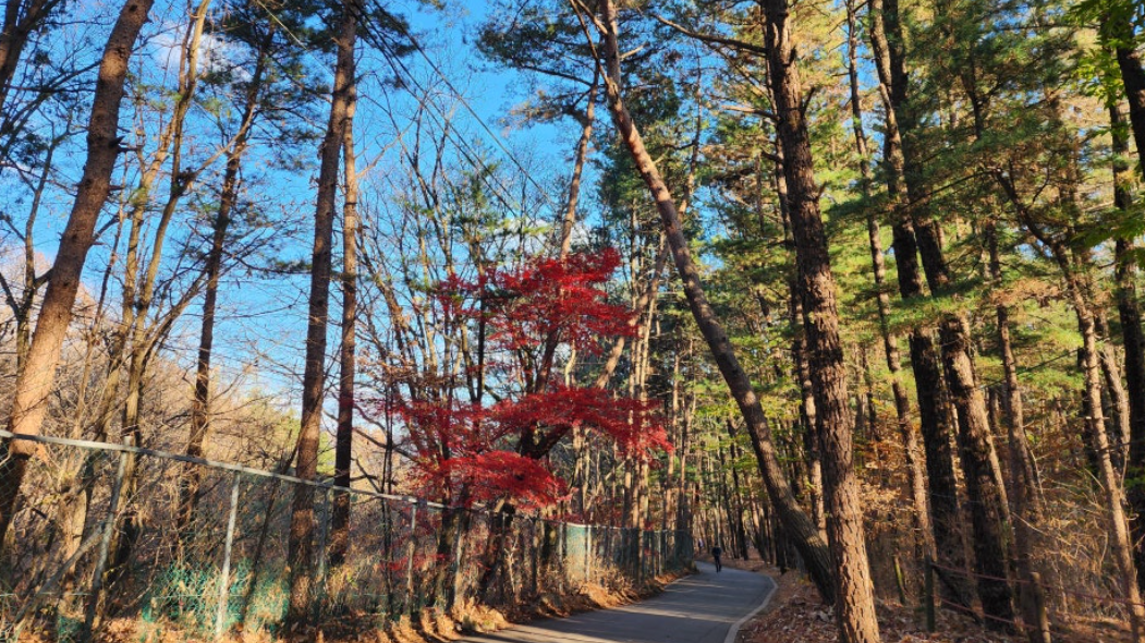 무수골 북한산 둘레길