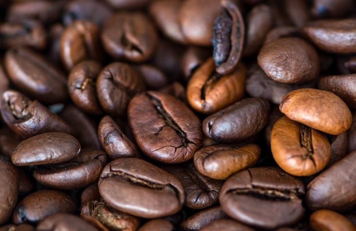 남미 커피 여행(콜롬비아, 페루, 볼리비아)