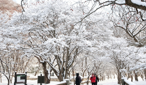 전북 겨울 명소 추천, 차분하게 걷기 좋은 역사&middot;사찰&middot;전통 공간 BEST 4