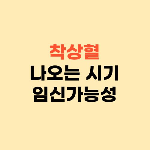 착상혈 나오는 시기 ❘ 임테기 해보는 시기 확인하세요