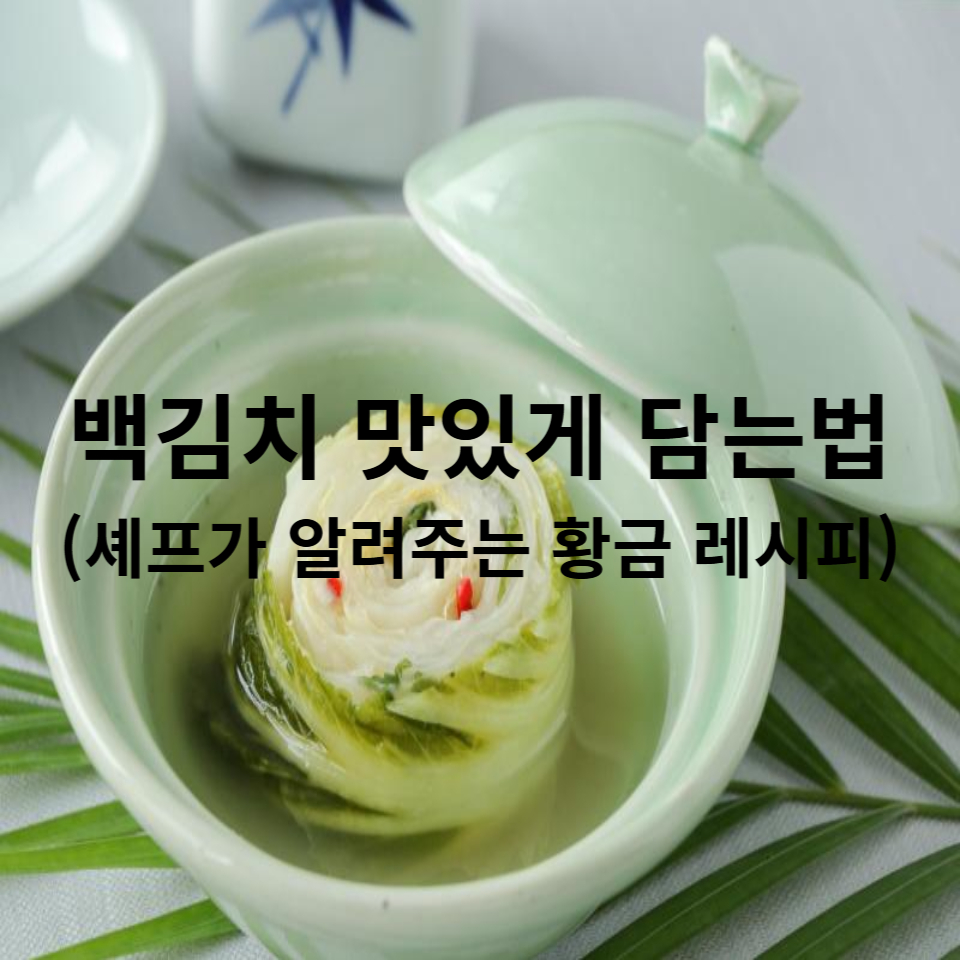 백김치 맛있게 담는법 (셰프가 알려주는 황금 레시피)