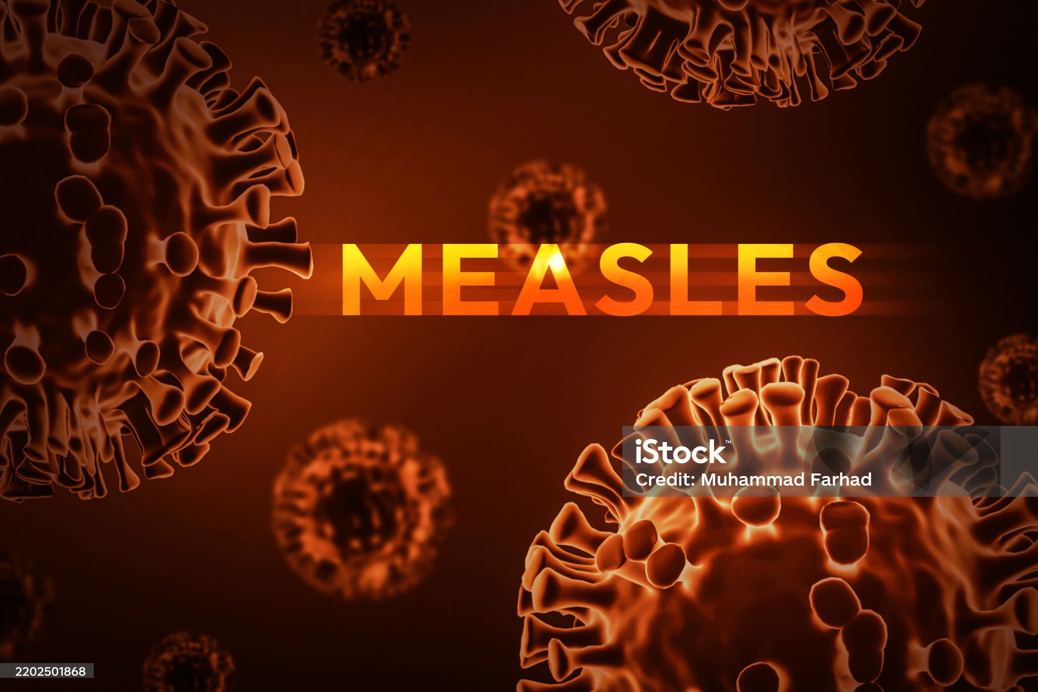 홍역 백신 접종 후 면역 반응과 항체 형성 과정