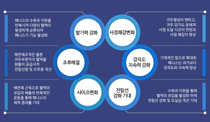 조이텍 사용후기