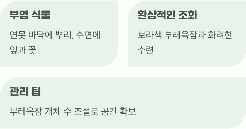 수면 위의 우아한 여왕, 수련