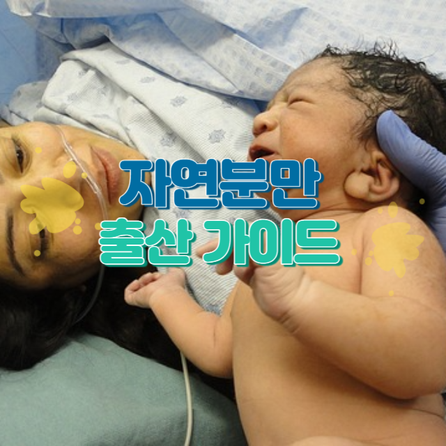 자연분만 출산 가이드