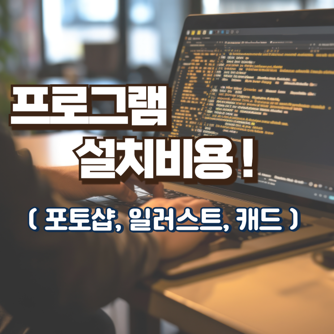 프로그램설치비용