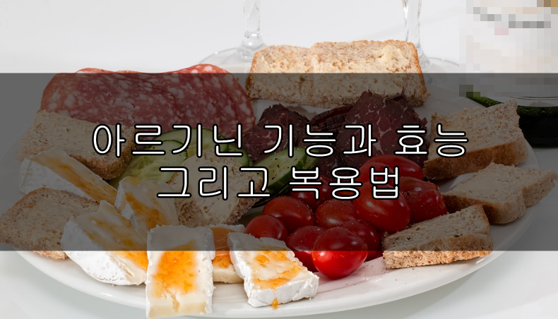 아르기닌 함유된 음식