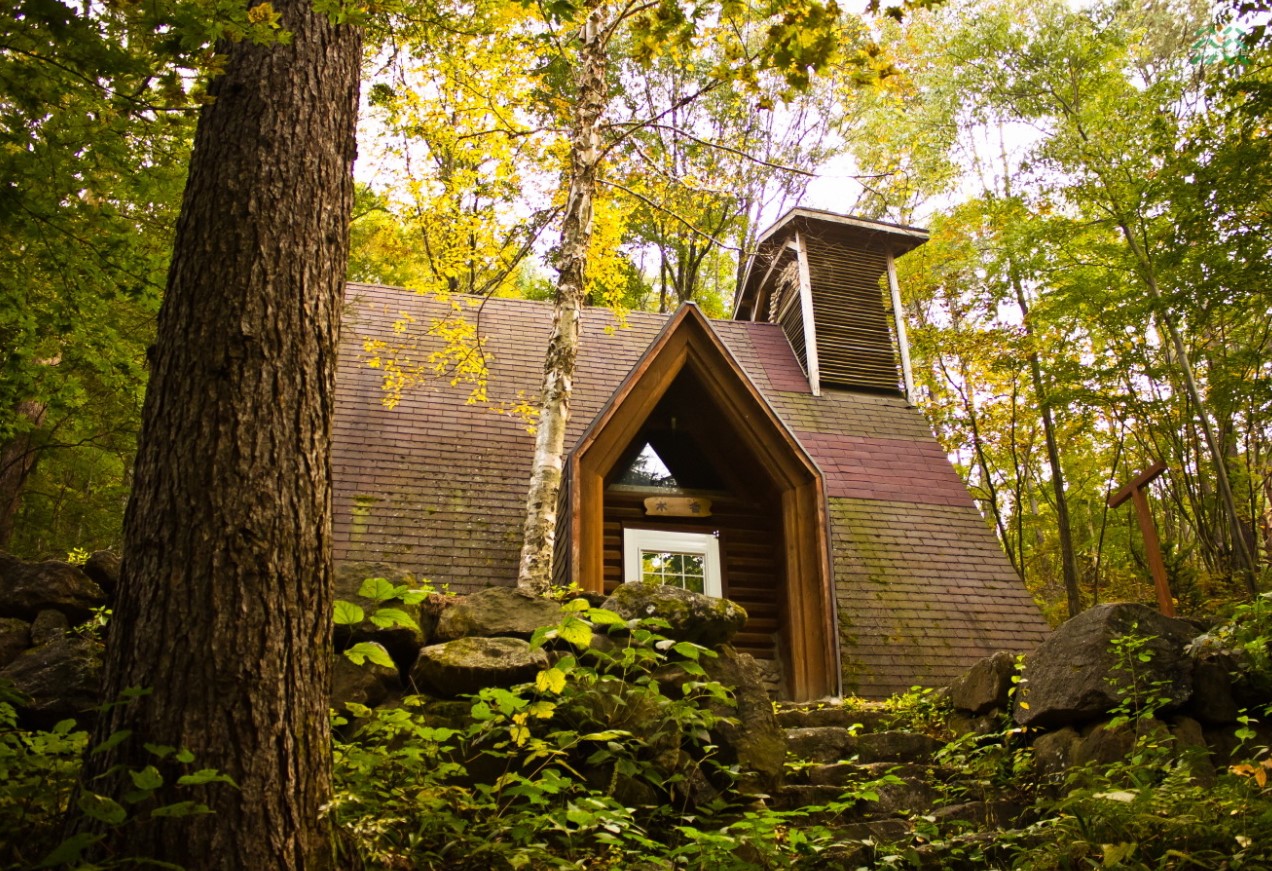 국립-청옥산-자연휴양림