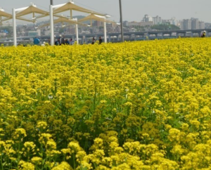 서울 5월 축제 일정