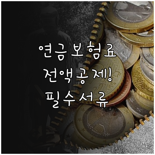 지역가입자 국민연금 보험료 전액 소득..
