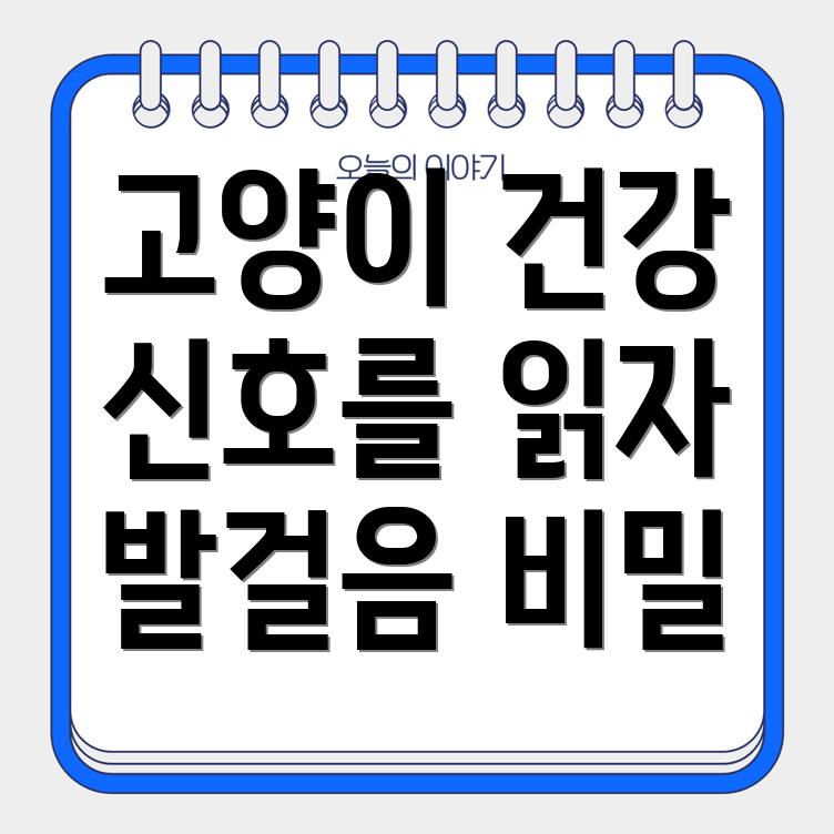 고양이 발걸음