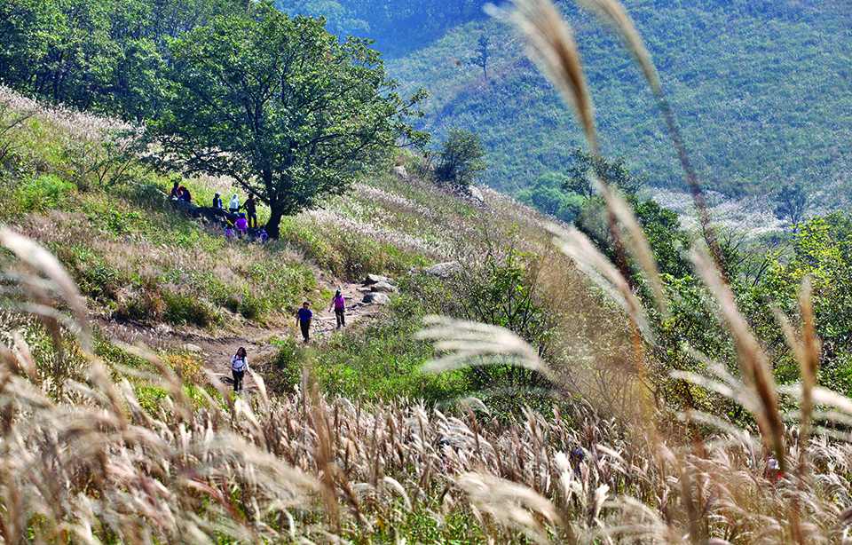 명성산 등산코스 추천