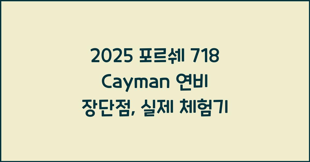 2025 포르쉐 718 Cayman 연비 장단점