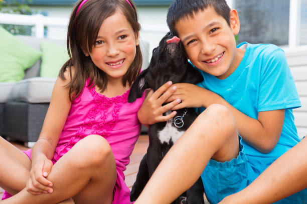 강아지가 주인을 핥는 이유 5가지와 대처방법