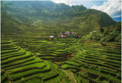 필리핀 이트래블 사이트 작성방법10