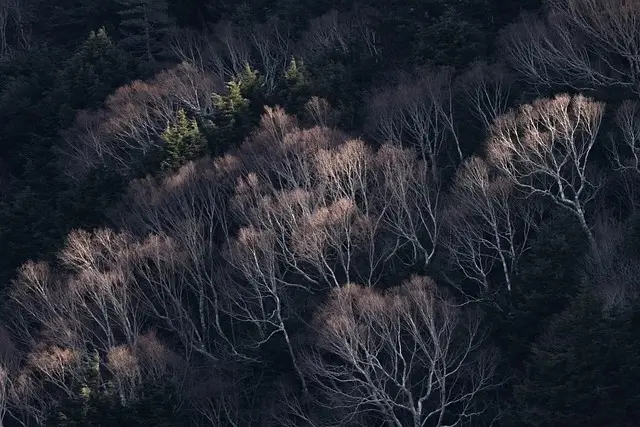 아이돌보미 자격증 취득방법 국비지원 받고 무료로 배우기