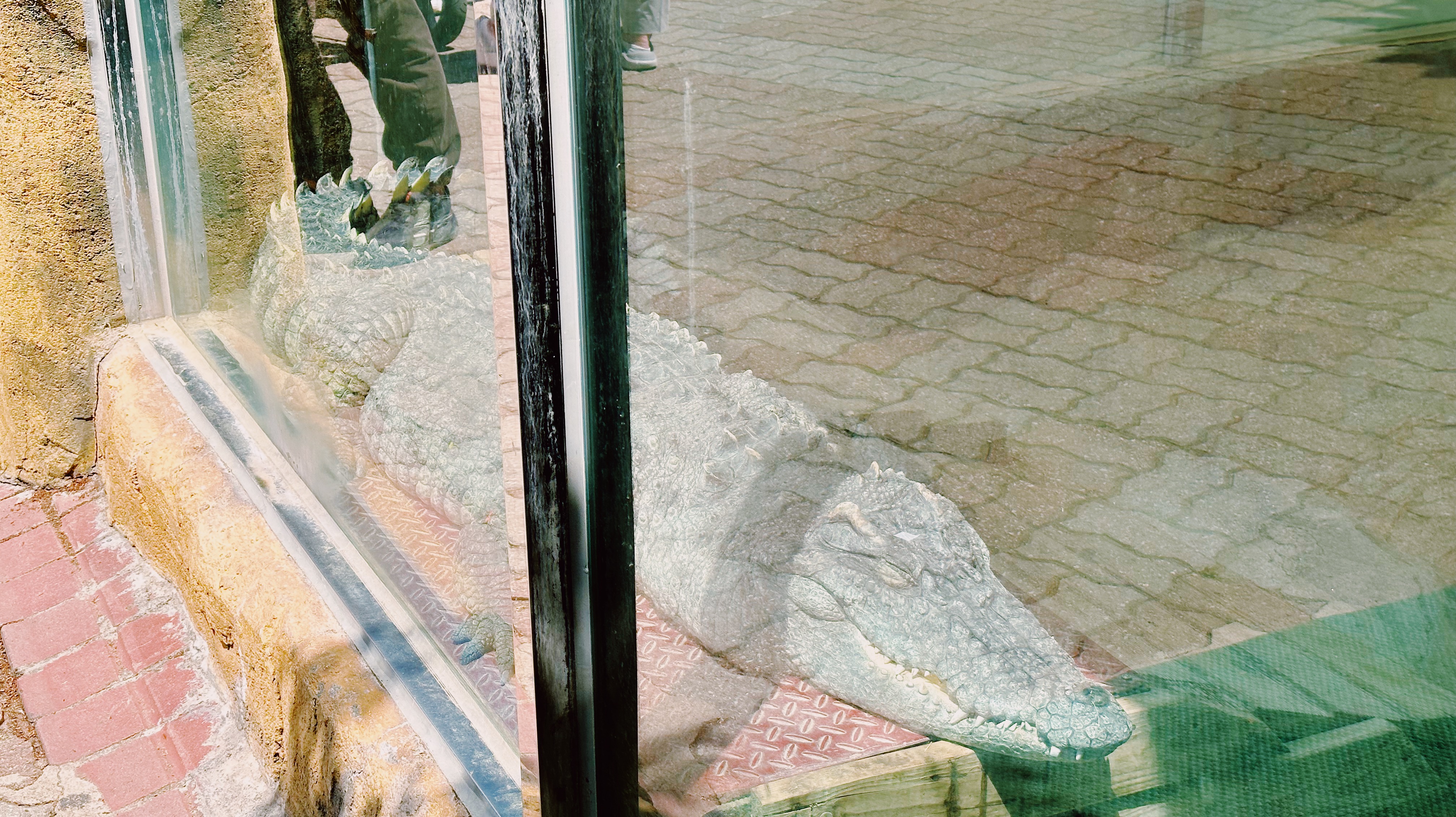오월드 동물원