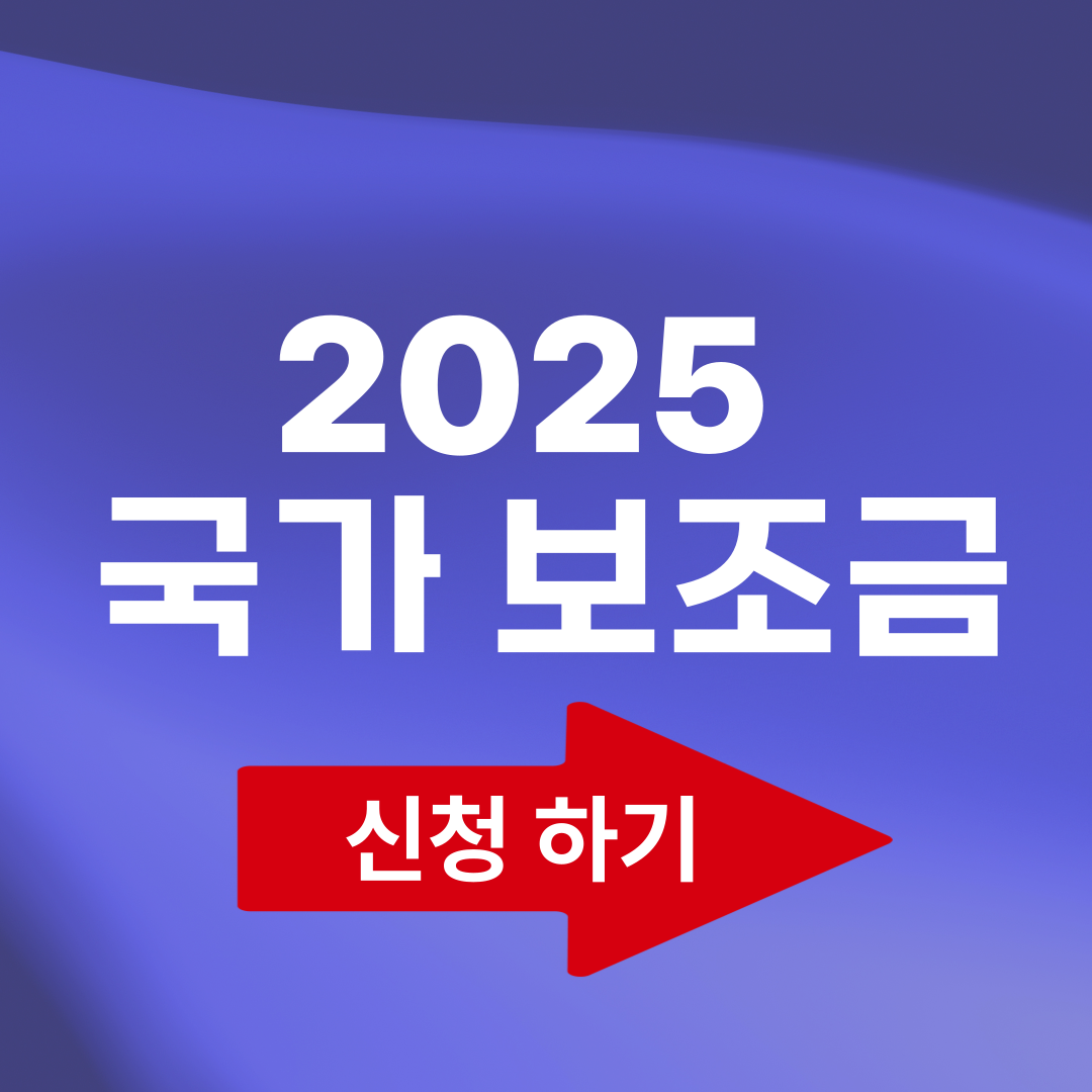 국가보조금
