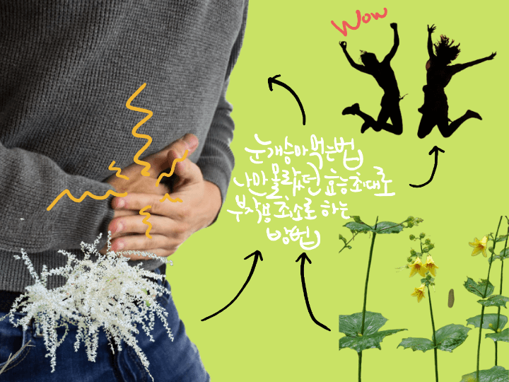 눈개승마와-복통의-관계와-효능에-대한-이미지