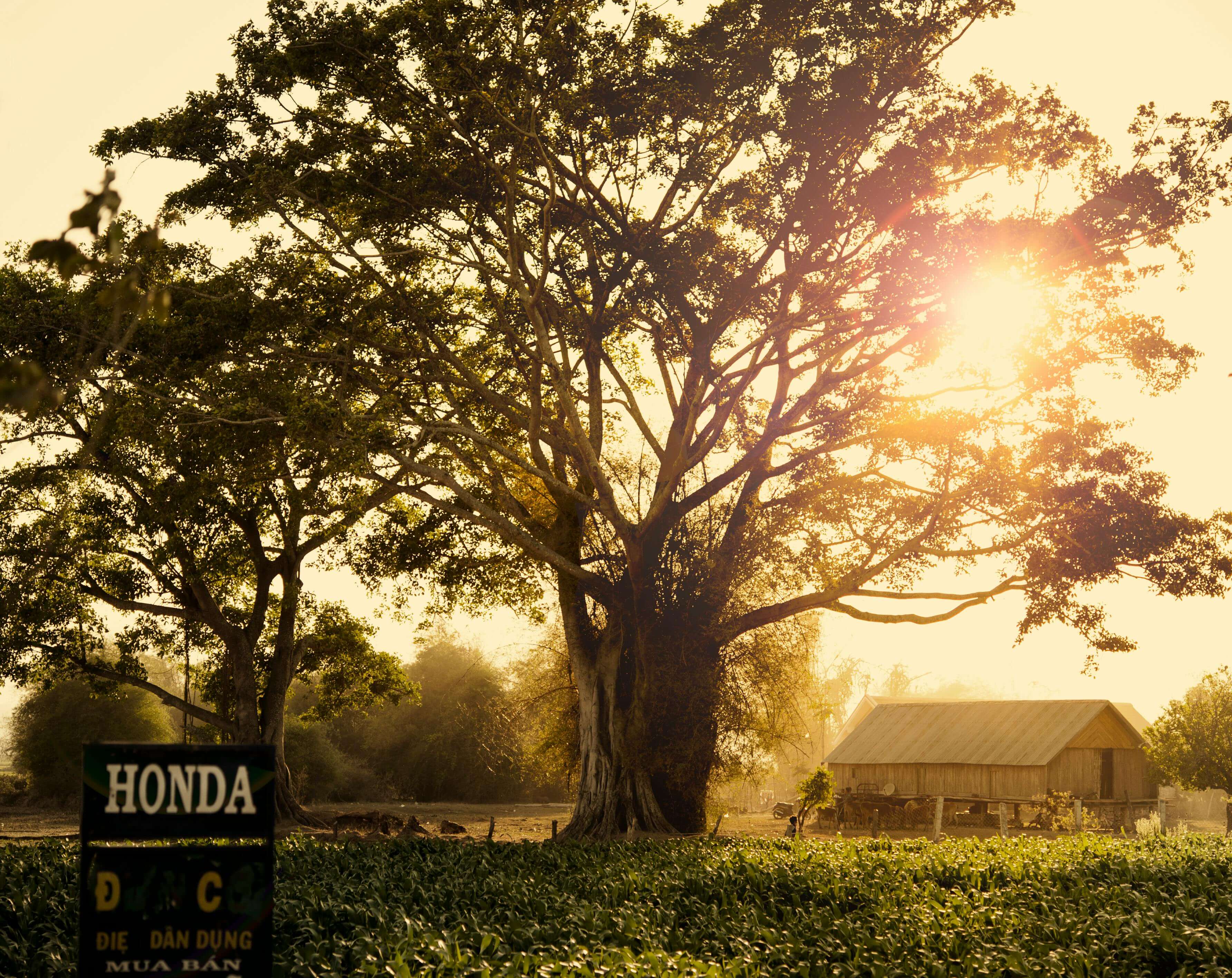 청와대 관람 주차정보 셔틀버스8