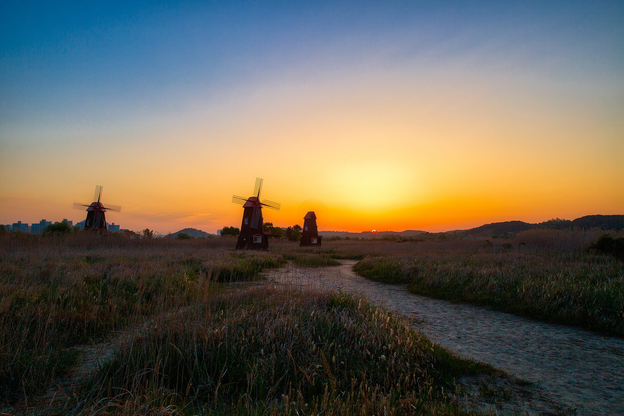 소래습지생태공원 여명6