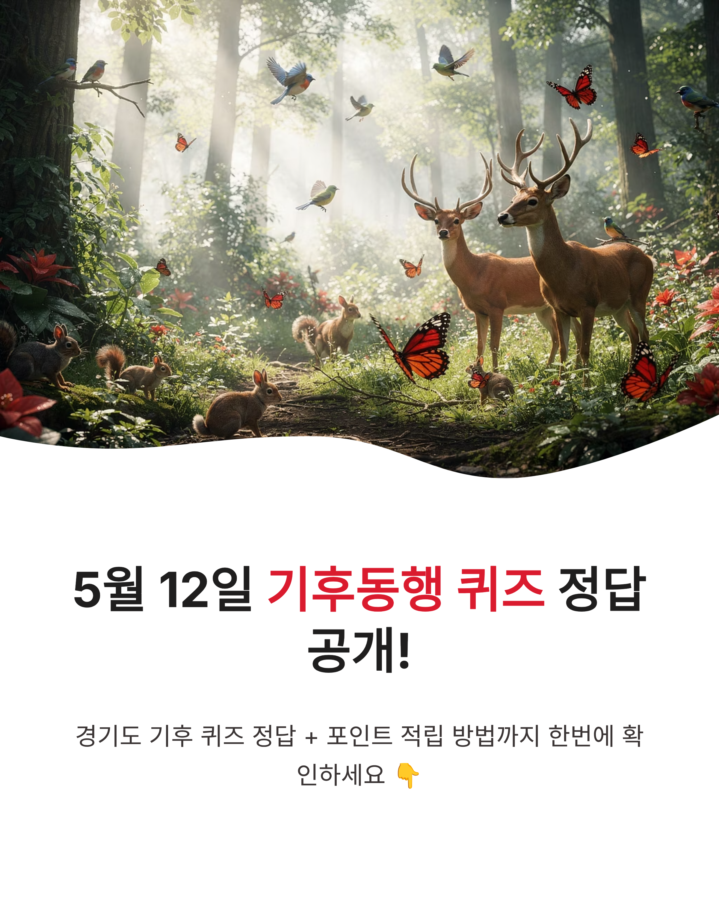 5월 12일 기후행동 기후동행 퀴즈정답, 경기도 생물다양성전략, 핵심요약정리