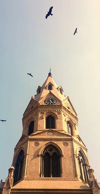 전씨 본관 종류 역사_2