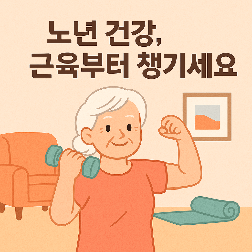 노인 근력감소의 위험성｜노년기 근육의 중요성과 안전한 근력운동 방법
