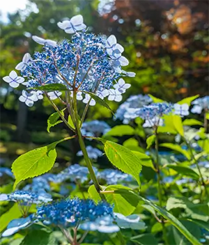 화담숲 테마별 사진