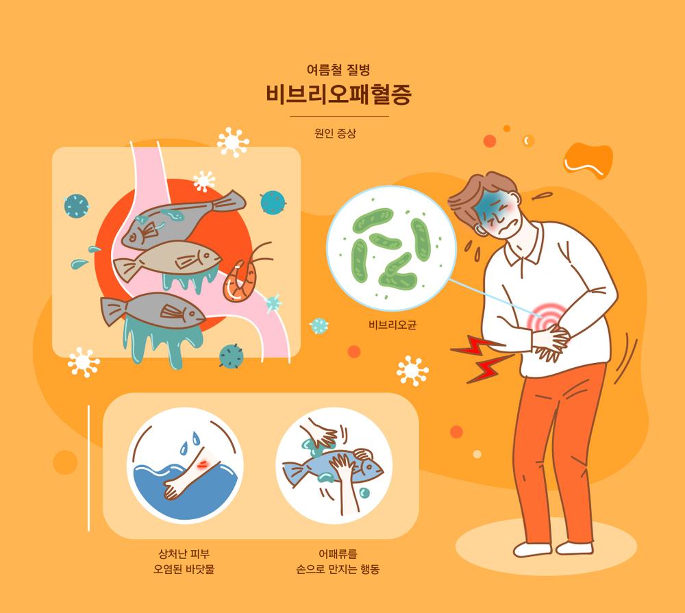 비브리오 패혈증 증상. 치료