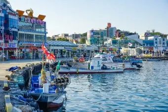 속초 대포항 맛집 추천 회센터 근처 인기 식당 리스트_3