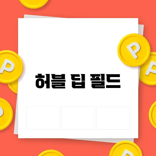 허블 딥 필드