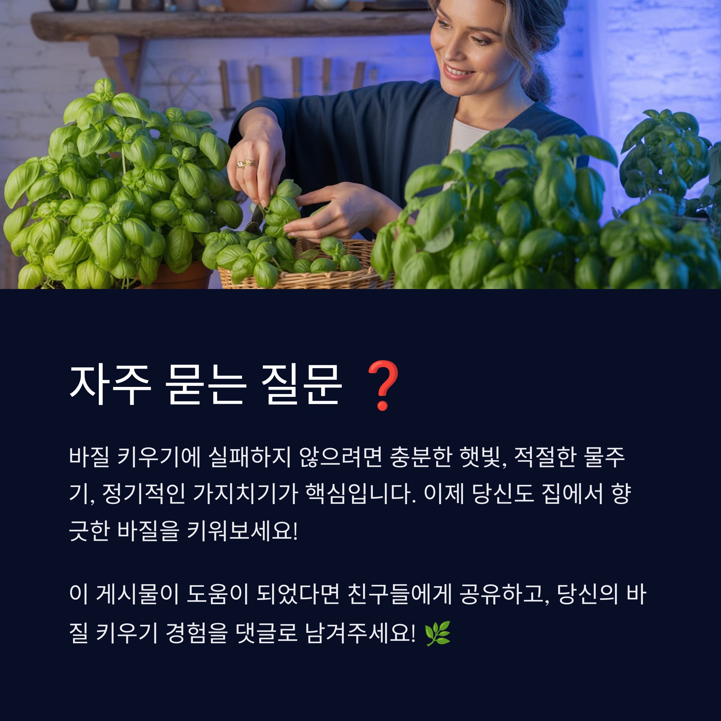 자주 묻는 질문 ❓
