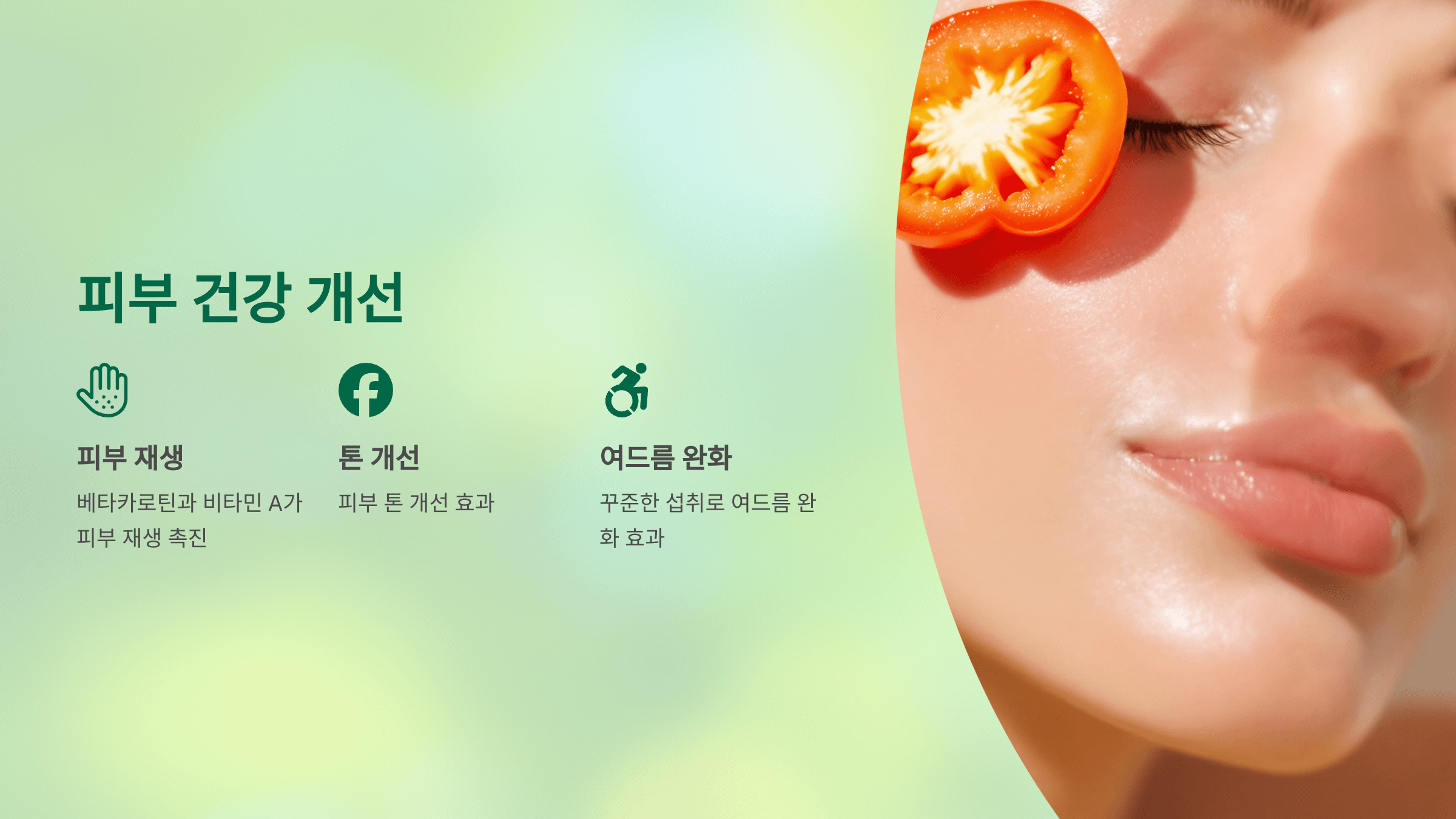 파프리카 사진입니다.